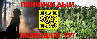 индика Моздок