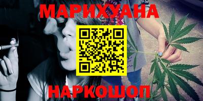 индика Моздок
