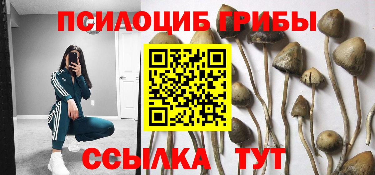 Галлюциногенные грибы ЛСД Юрга